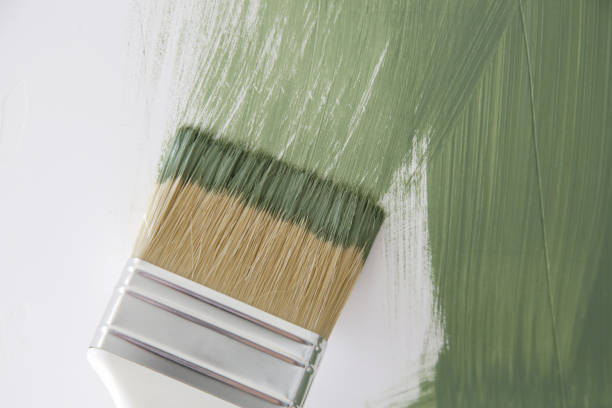 Best Emergency Mold Remediation  in Argos, IN