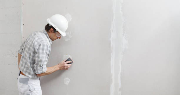 Best Mold Damage Restoration  in Argos, IN