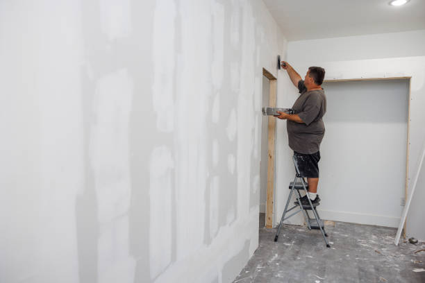 Best Mold Documentation for Insurance Claims  in Argos, IN